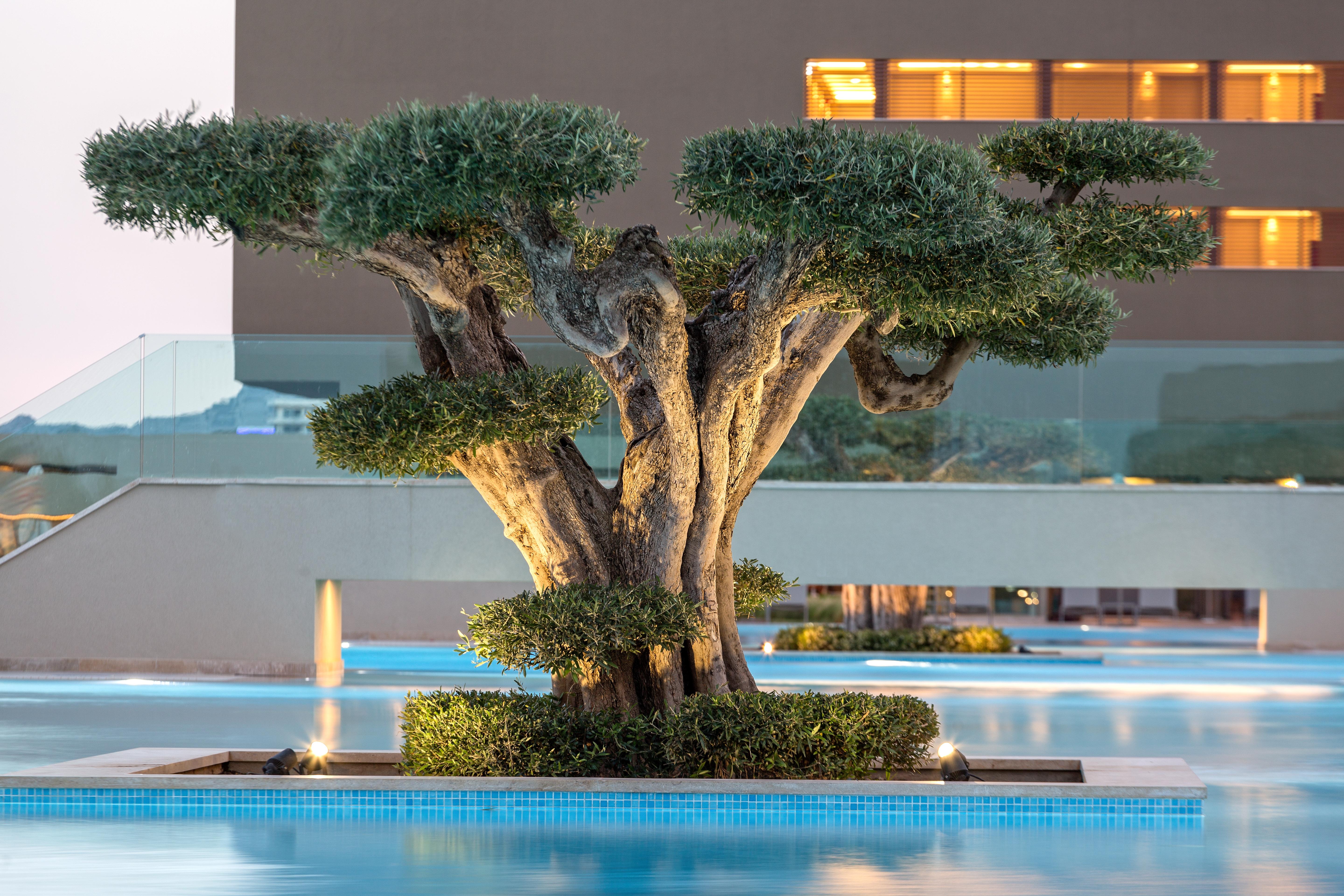 Amada Colossos Resort Faliraki Extérieur photo
